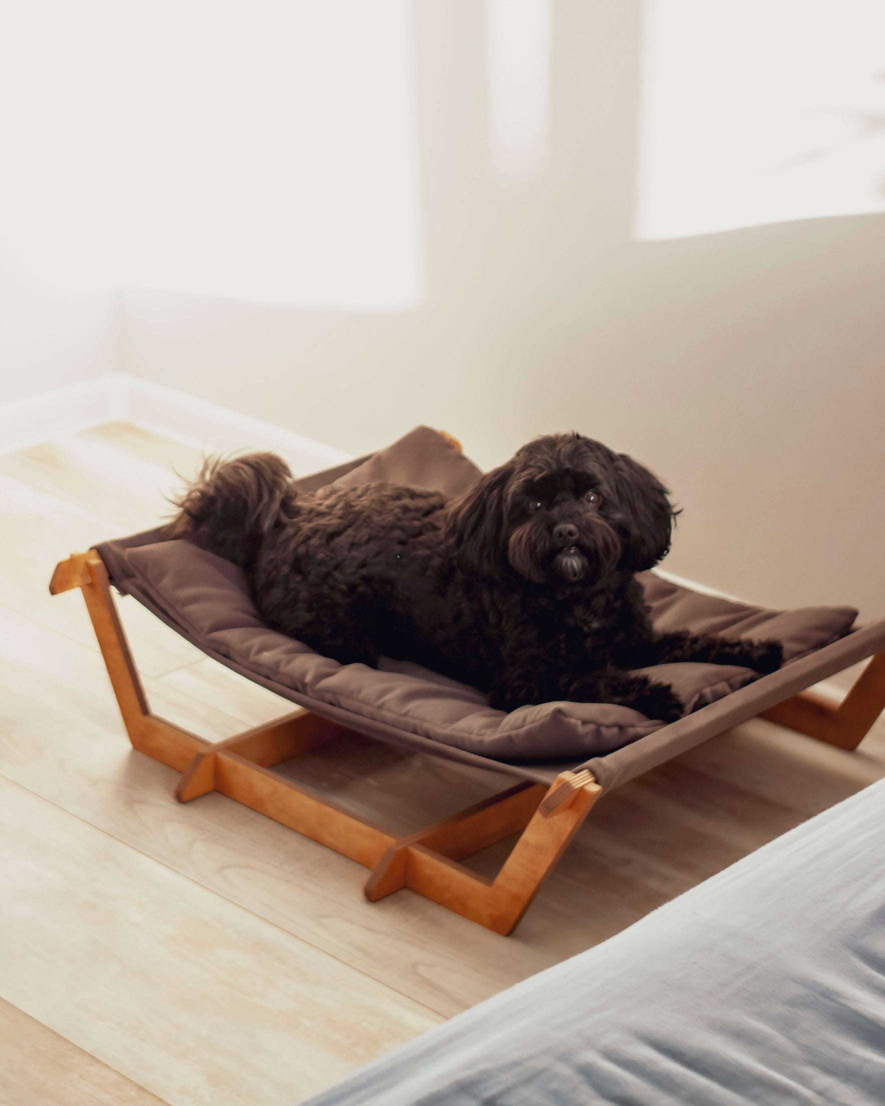 KOKAA Dog Bed KOKAA Pet Furniture